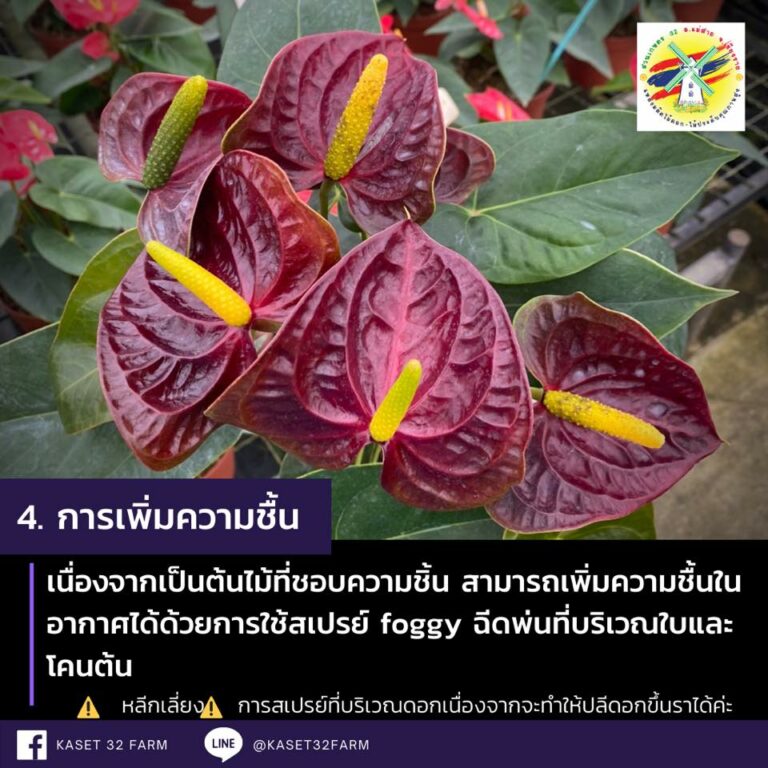 My Image 45