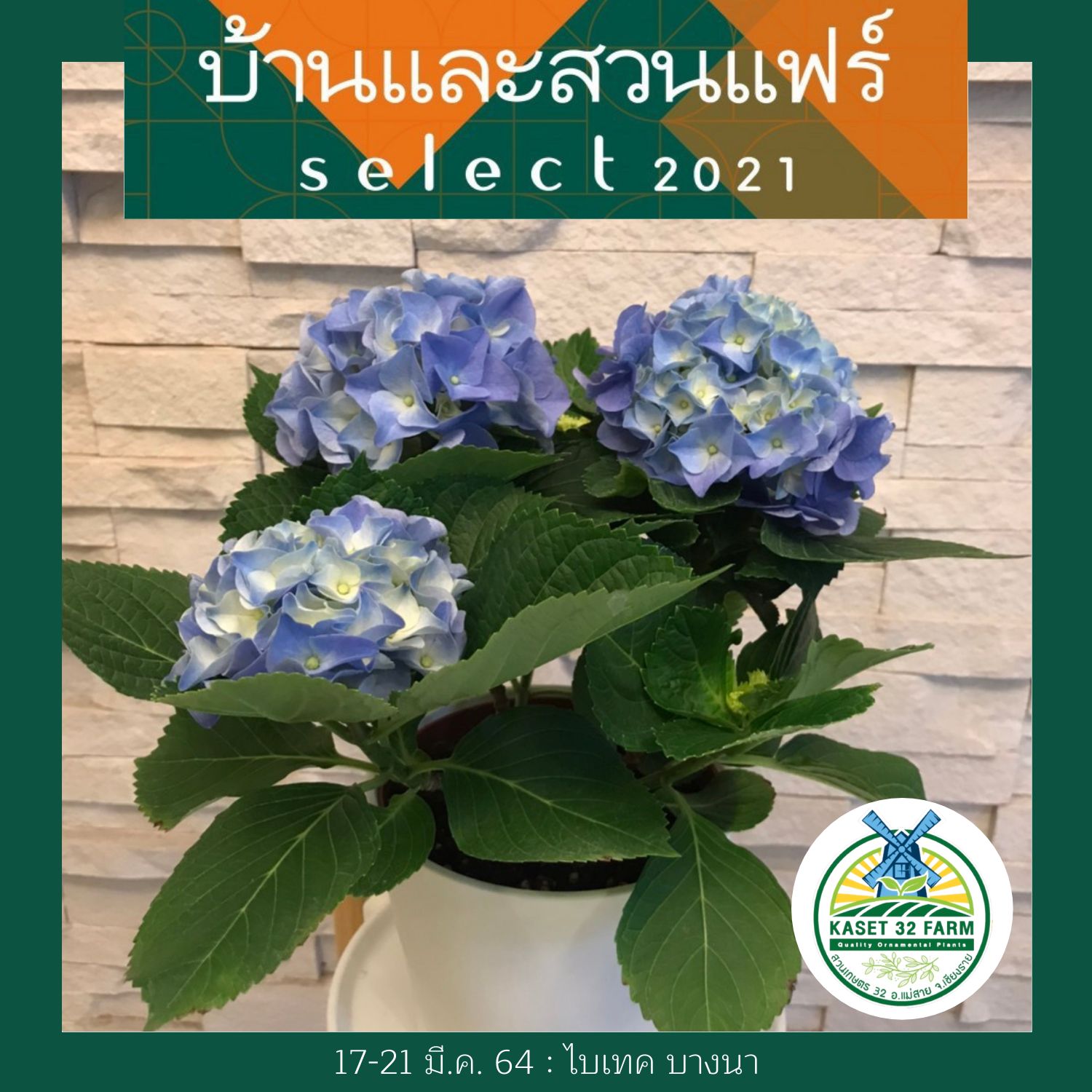 ไฮเดรนเยีย